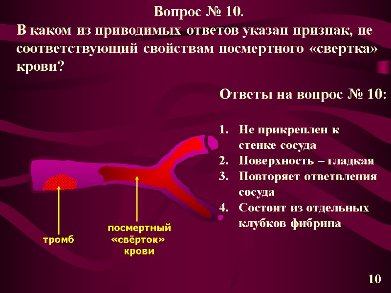 тромб посмертный «свёрток»  крови 10        